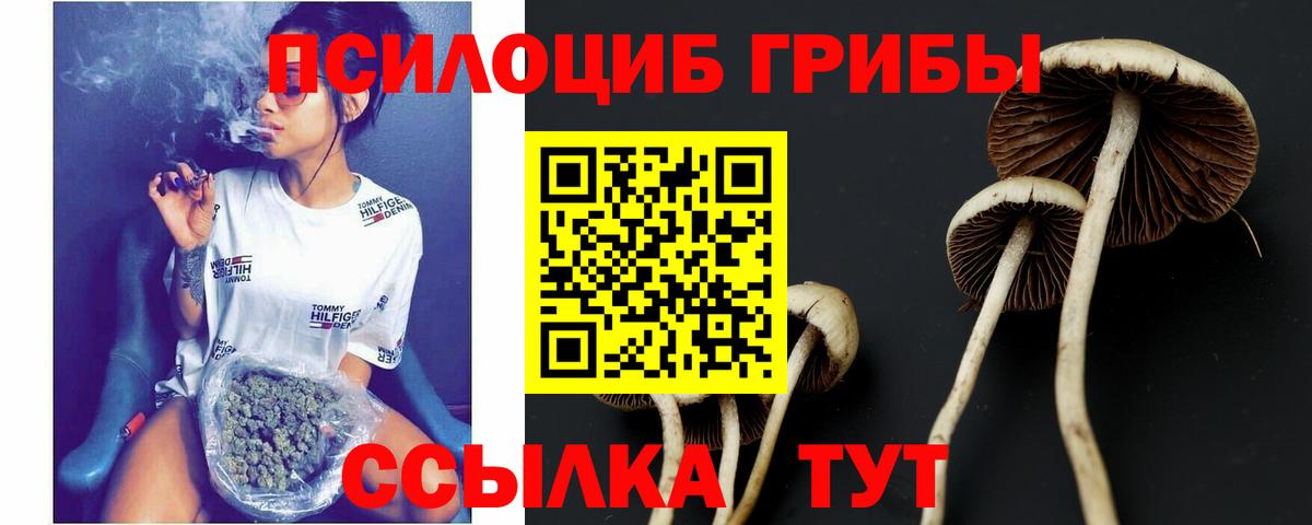 Псилоцибиновые грибы ЛСД Моздок